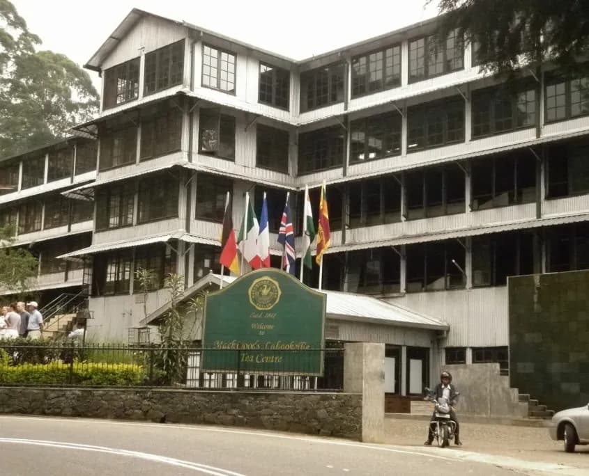 Visit The Labookellie Tea Factory